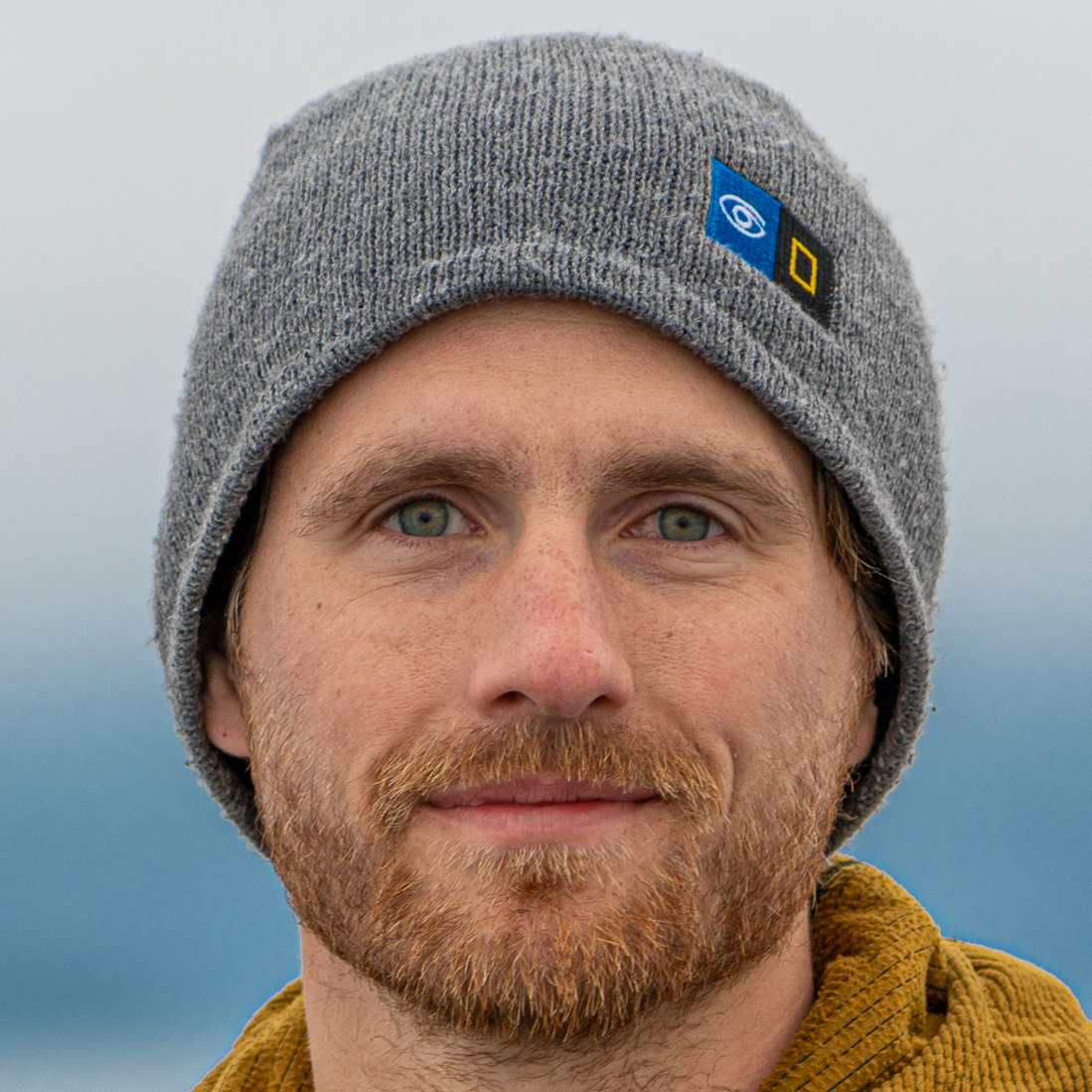 David Spiegel
